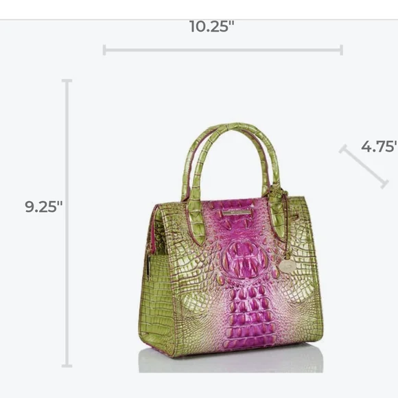 NWT Brahmin Limeade Ombre Melbourne Small Caroline - Picture 14 of 16